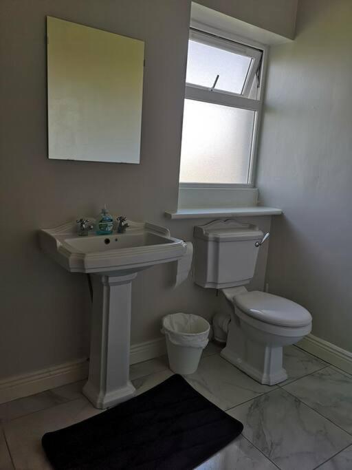 Spacious And Warm 2 Bedroom Apartment Sleeps Up To 5 Athy Dış mekan fotoğraf